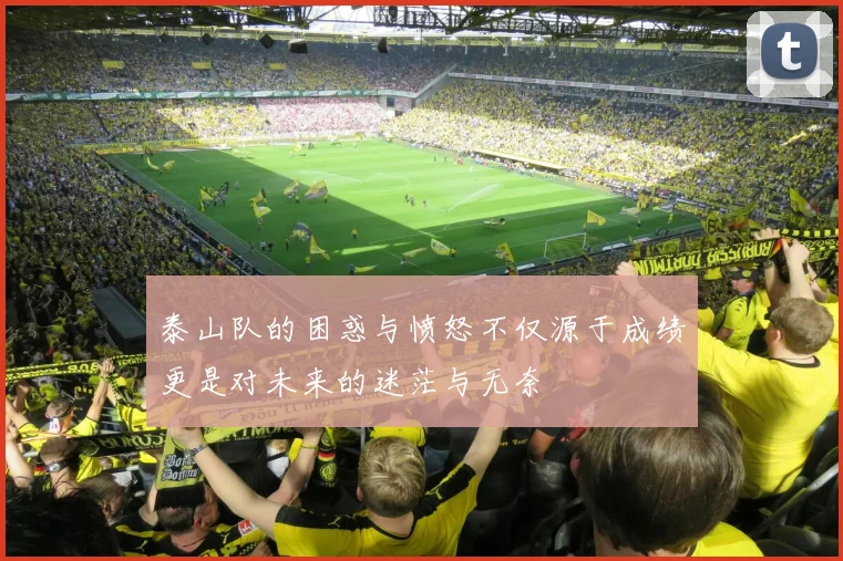 泰山队的困惑与愤怒不仅源于成绩更是对未来的迷茫与无奈